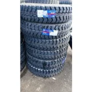 Constancy DM55. �����������, 2025 ���, ����� ����