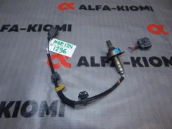 ������ ����������� Toyota Allex, bB, Corolla, Corolla Fielder, Corolla Runx, Funcargo, Ist, Porte, Probox, Raum, Sienta, Succeed, WiLL Cypha 894655224...