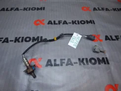 ������ ����������� Toyota Allex, bB, Corolla, Corolla Fielder, Corolla Runx, Funcargo, Ist, Porte, Probox, Raum, Sienta, Succeed, WiLL Cypha 894655224...