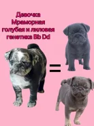 ����. ����