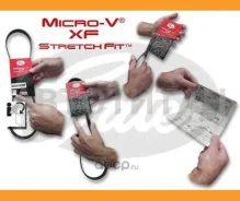 ������ ������������ XF Gates 6PK691683SF 6PK691683SF ����
