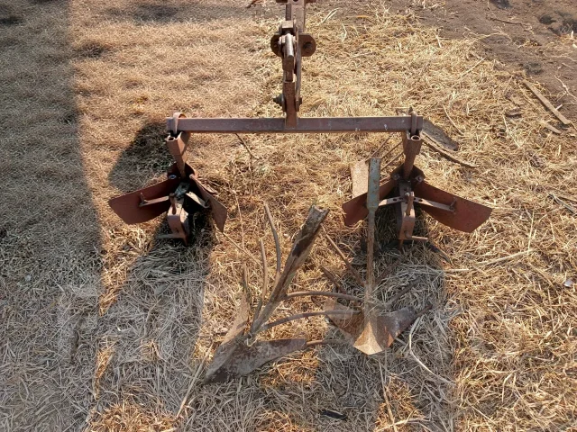 ��� ����