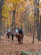 �������� ������ �������� ��� ����������. ����� ������ �� 31 ����� ����