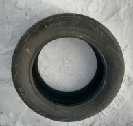 Massimo Aquila A1. ������, 2023 ���, �/�, ����� 50 % ����