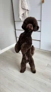 ������. ����