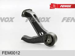 ����� ��������� | ��� ���� | Fenox ���. FEM0012 FEM0012 ����