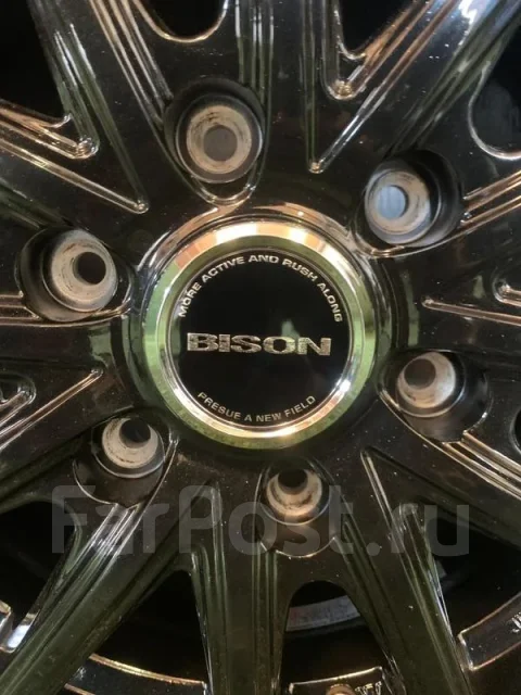 Lenso Vision-Bizon