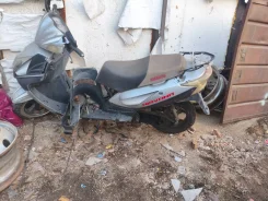 Irbis. 150����. ��., ����������, ��� ���, ������ �� �� ����