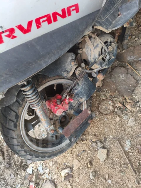 Irbis. 150����. ��., ����������, ��� ���, ������ �� �� ����