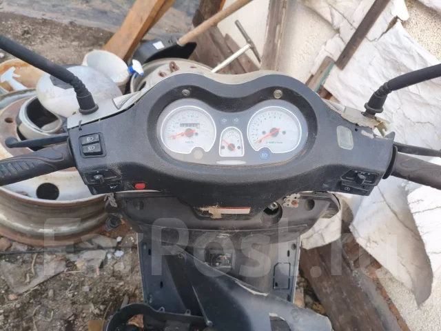 Irbis. 150����. ��., ����������, ��� ���, ������ �� �� ����