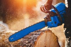 ������������. �� ������ �.�. �. ������-���������� ����