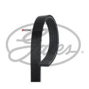 ������ ������������ Gates 5PK1138 5PK1138 ����