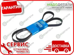 ������ ������������ Sun � ��������� � ��������� [6PK1810] 6PK1810 ����