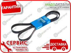 ������ ������������ Sun � ��������� � ��������� [6PK1920] 6PK1920 ����