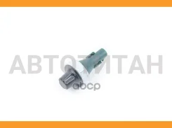 ���������� 06L919081 ����