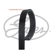 ������ ������������ Gates 5PK1138 5PK1138 ����