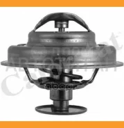 ��������� 81�C c ���������� Citroen Bx/C15, Renault 21/25/Espace 2,1D/TD, Peugeot TH494781J ����