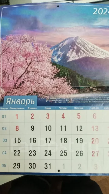 ��������� �� 2024 ��� ����