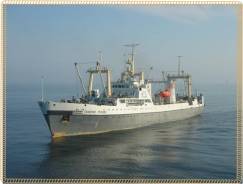 ��������. ��� "�������������� ���� ��������� �����". ����� ����������� 51� ����