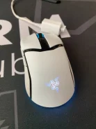 ���� ������� ������������. ����