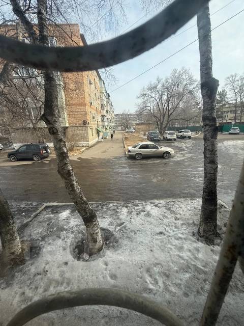 1-���������, ����� ���������� 40. �����, ���������, 30���.��., 1/5 ����. ��� �� ���� ���� ����