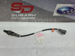 ������ ����������� Toyota Camry 8946533470 AVV50 8946533470 ����