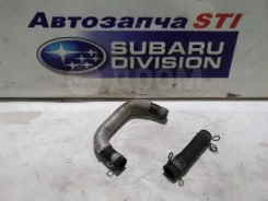 ����� ������� Subaru Forester 99078AA450 SG5 99078AA450 ����