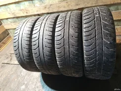 Firestone Ice Cruiser 7