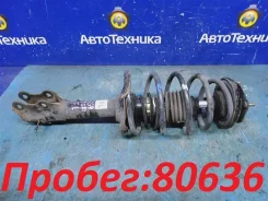 ������ �������� Nissan Bluebird Sylphy 2004 [543036N000/543036N025/540106N072/543204M401], ������ �������� 543036N000 ����