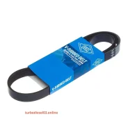 ������ ������������ SUN SUN 6PK1020 ����