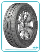 Barez P601