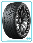 GT Radial WinterPro2 Sport