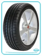 Rapid P609