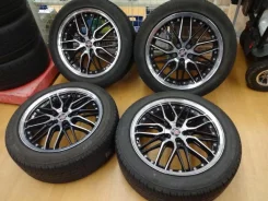 Kyoho Steiner LMX