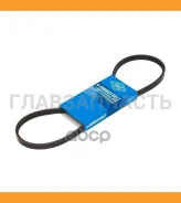 ������ ������������ SUN 3PK795 ����