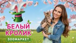 ���������. �� ��������� �.�. ����� ����������� 14 ����