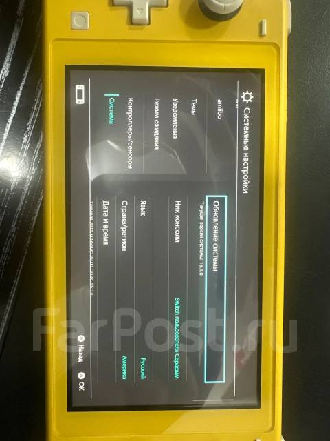 Nintendo Switch Lite ����