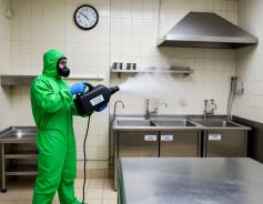 �����������. ��� �����������. ����������� ����