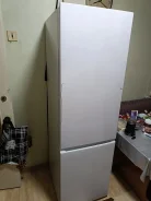 ������������. ����