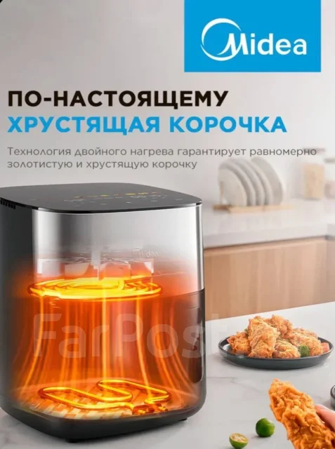 ���������. ����