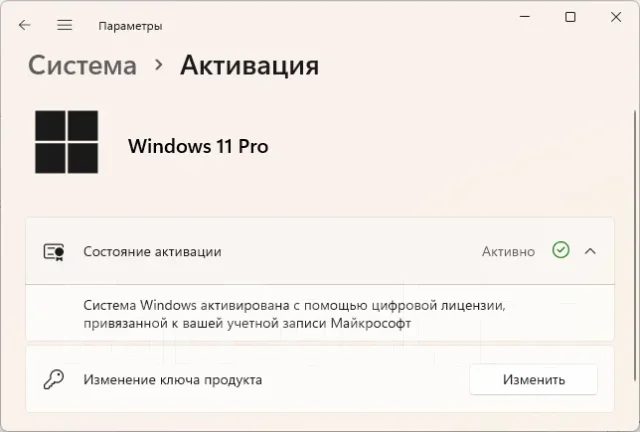 Microsoft Windows 11. ����