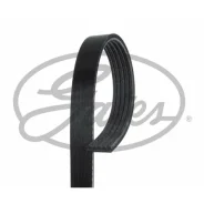 ������ ������������ Gates, ���. 5PK-998 5PK998 ����