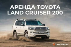 Toyota Land Cruiser. ��� �������� ����