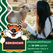 �������, ���������. �� ������, ������� ���������. ����� ������� (�. ���������) 104 ����