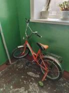����� ����
