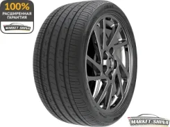ZMax Zealion