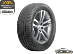 Delinte DS2