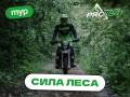 Тур на мотоцикле эндуро "Сила леса", экскурсия, прокат, аренда