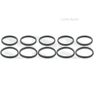 ������ �������������� Audi A4/A6/A5/A8/Q5/Q7 2.4i/3.2i V6 04 RINGWH016PCS10 ����