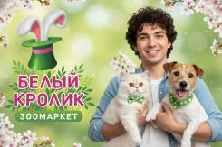 ��������-������. �� ��������� �.�. ����� �������� 137 ����